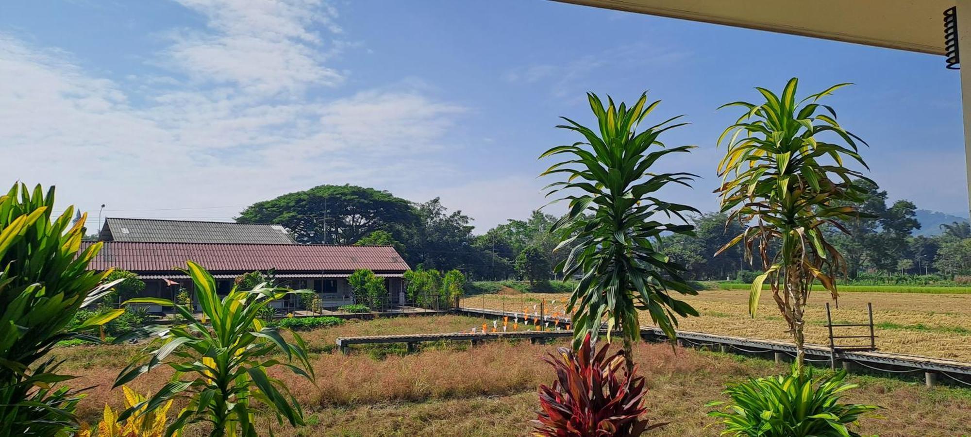 Ban Lom Jen Homestay Chiang Rai Bagian luar foto