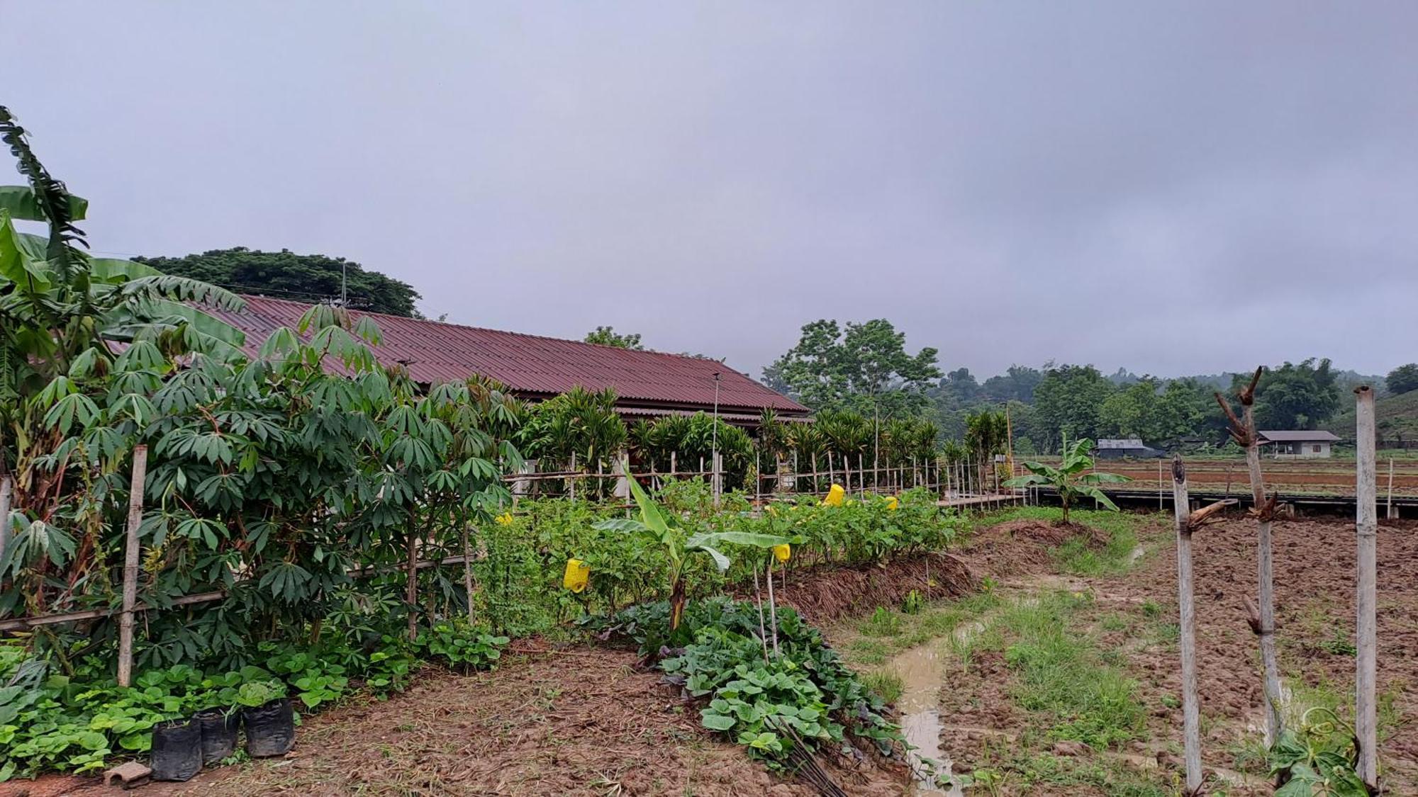 Ban Lom Jen Homestay Chiang Rai Bagian luar foto