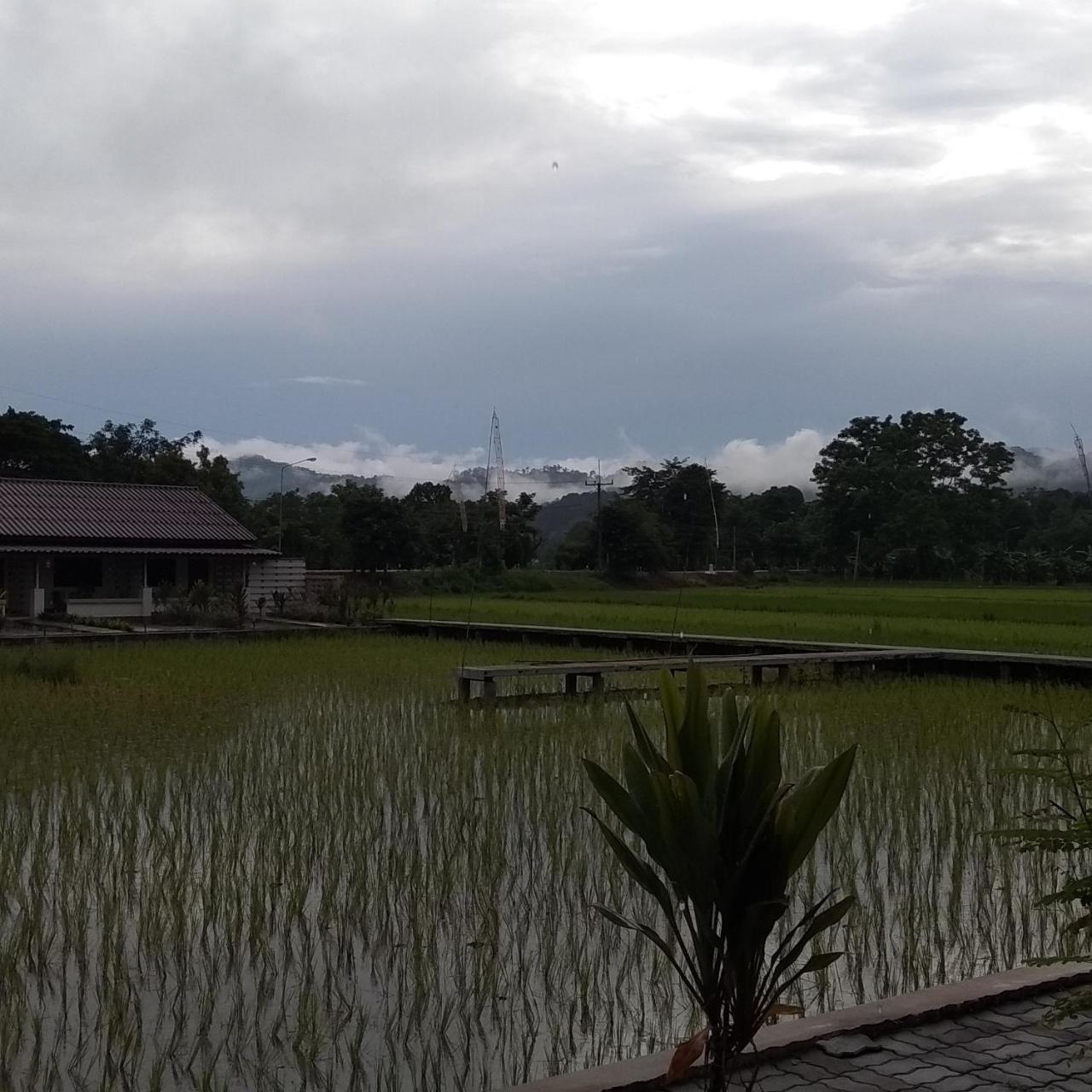 Ban Lom Jen Homestay Chiang Rai Bagian luar foto
